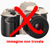 zoom immagine (Magazzino in Vendita a Torino)